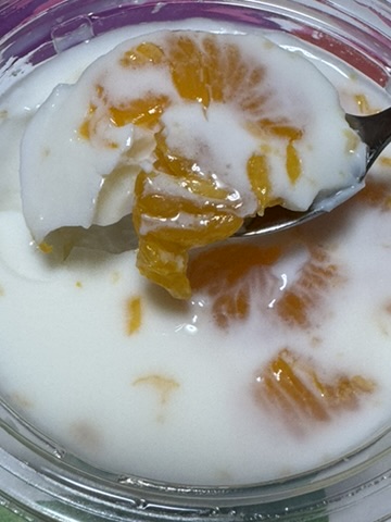 セブンイレブン「濃厚ミルク寒天」の写真