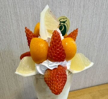 トリプルパフェの写真